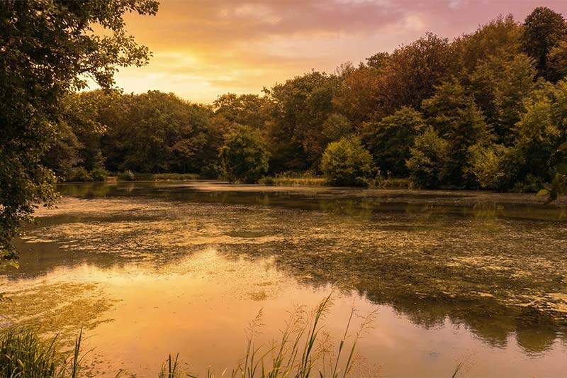 Plaine de Cîteaux — paysage Bourgogne