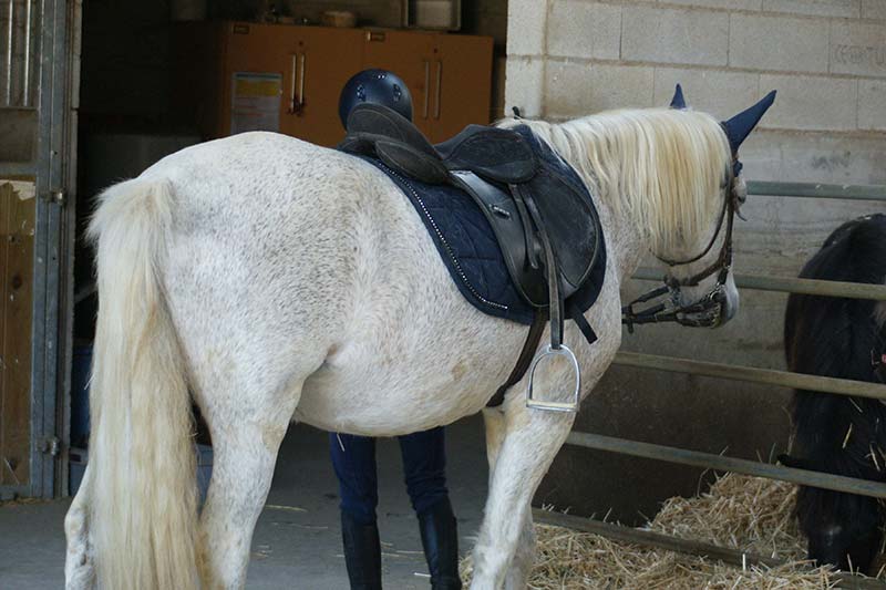 Poney Club de la Folie — Villebichot